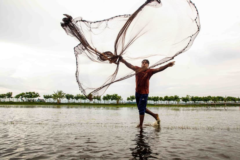 Sustainable Farming